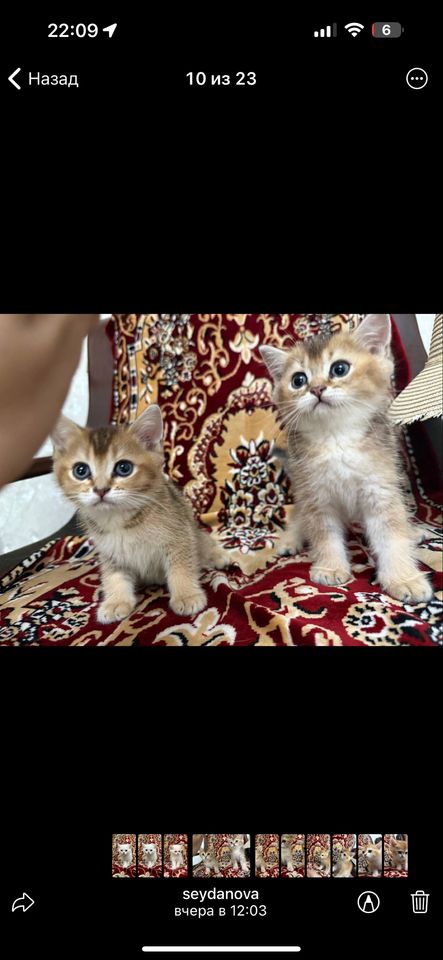 3 000 000 сум