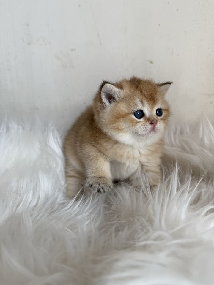 600 USD