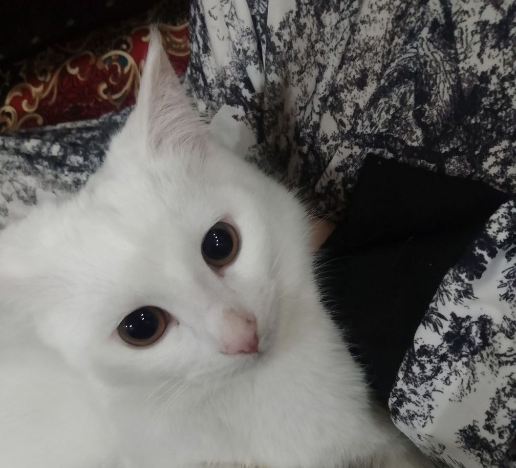 600 000 сум