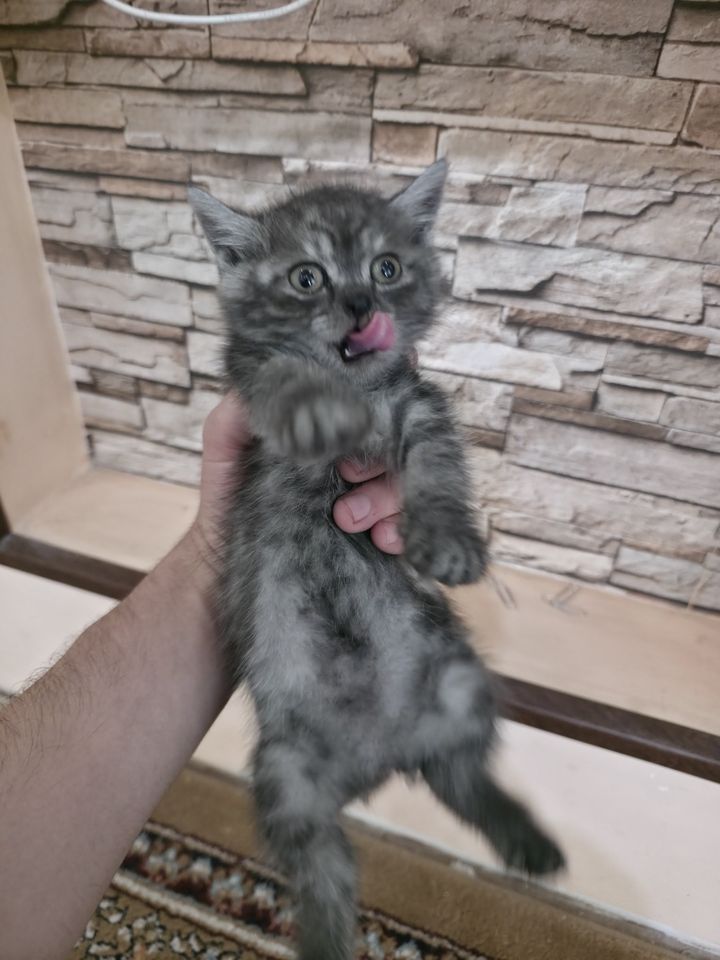 150 000 сум