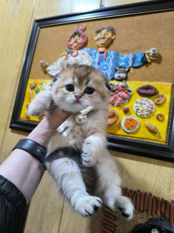 350 USD