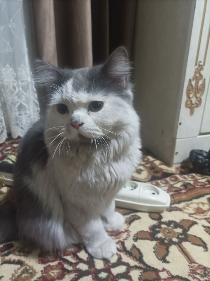 2 000 000 UZS