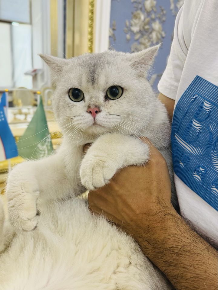 50 USD