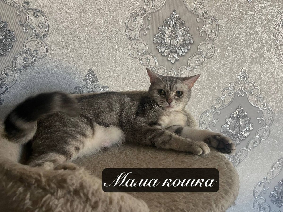 900 000 UZS