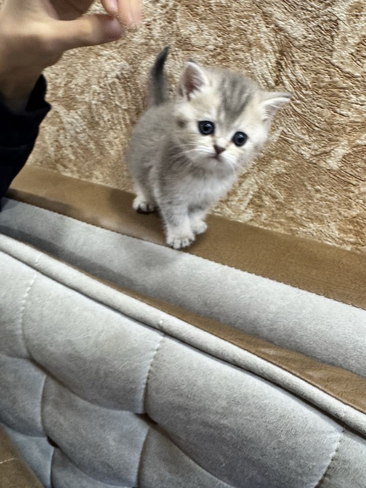 1 000 000 сум