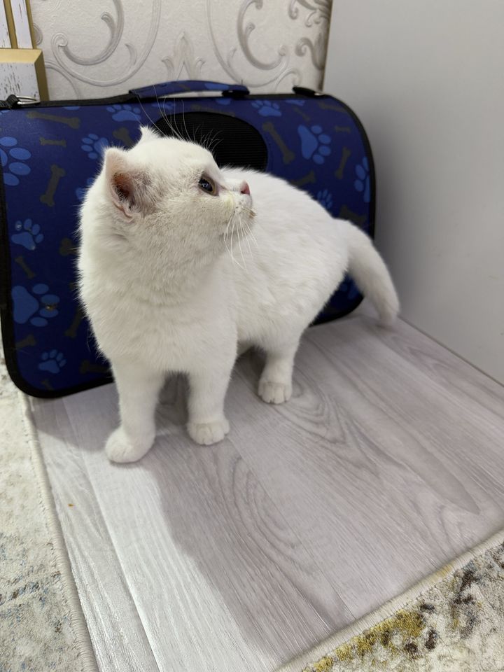 115 USD