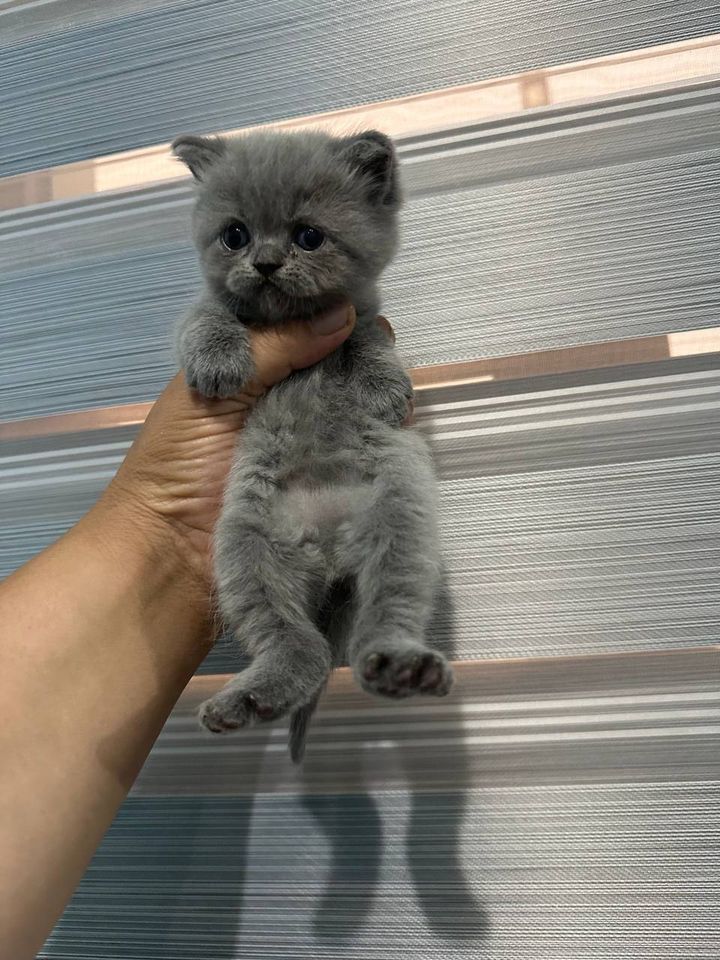 900 000 сум