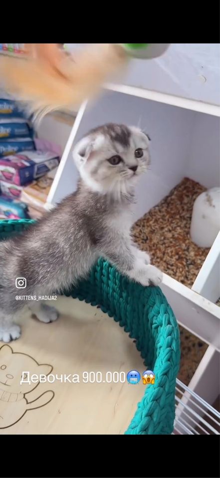 400 000 сум