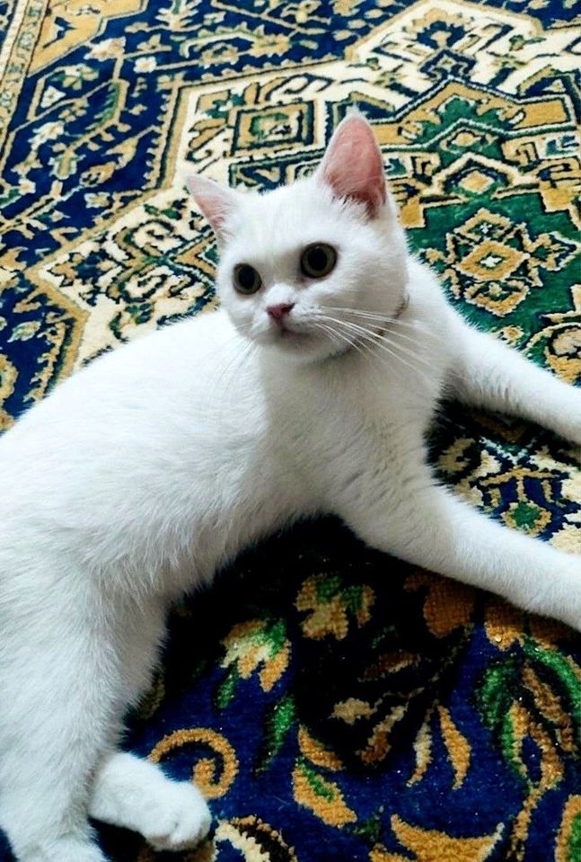 1 200 000 сум