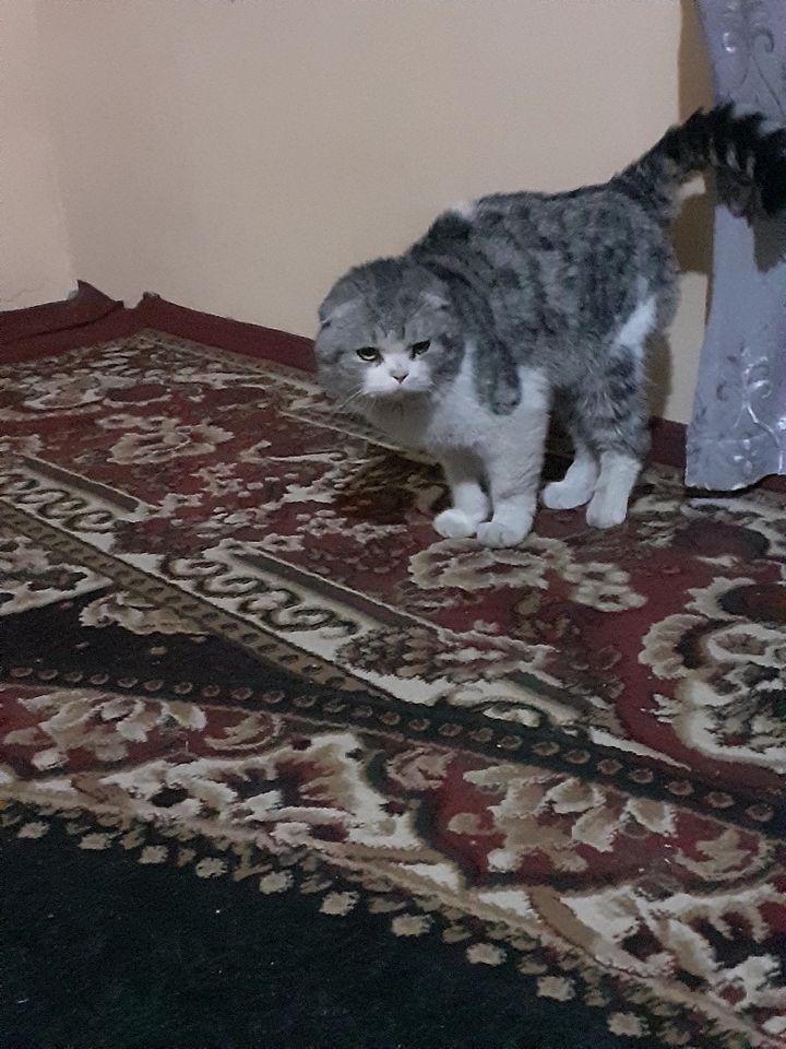 400 000 сум