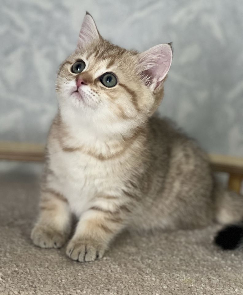 200 USD