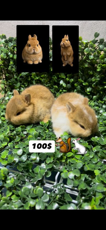 200 000 сум
