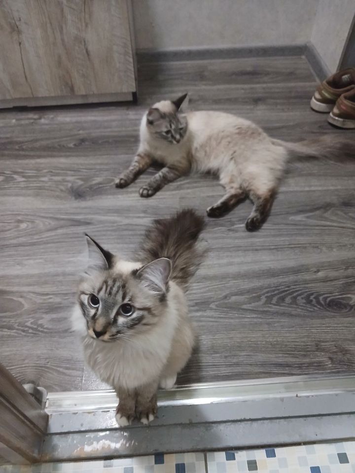 400 000 сум