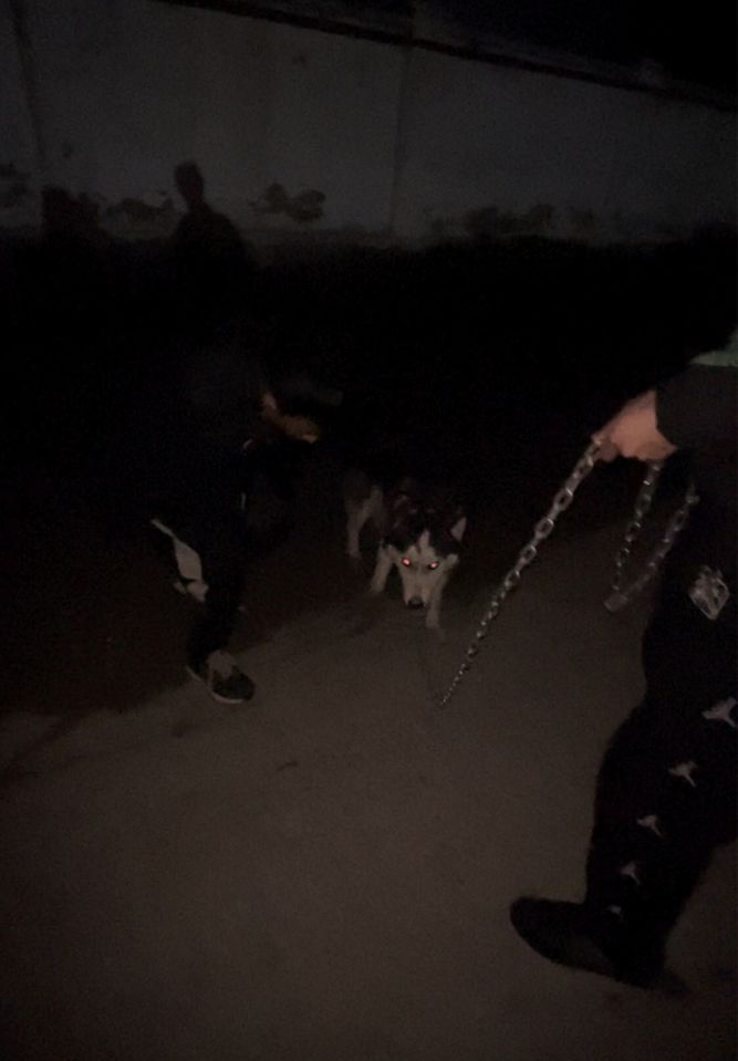 150 USD