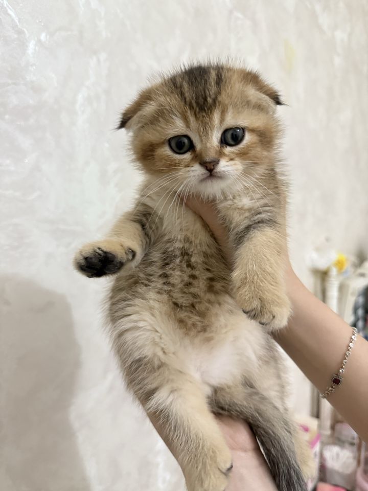 90 USD
