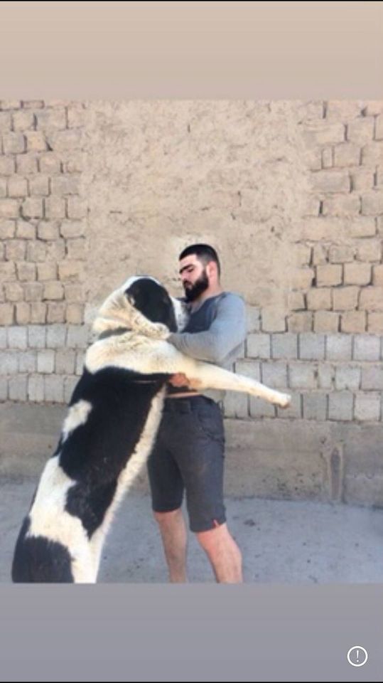 220 USD