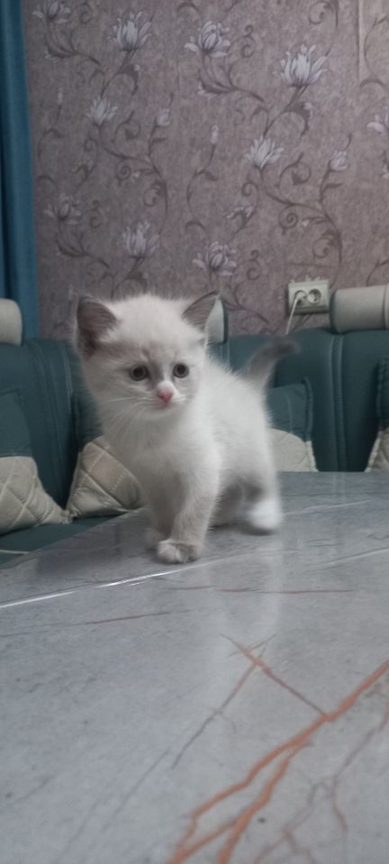 500 000 UZS