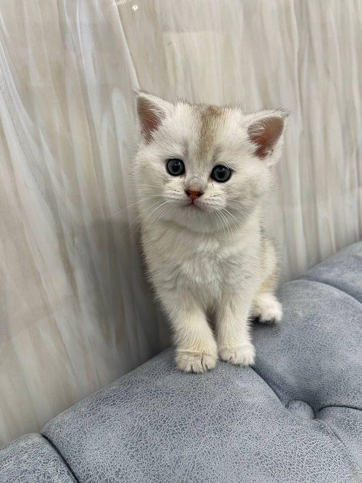 250 USD