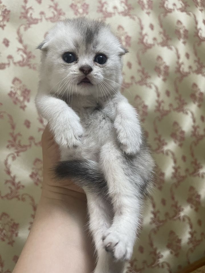 320 USD