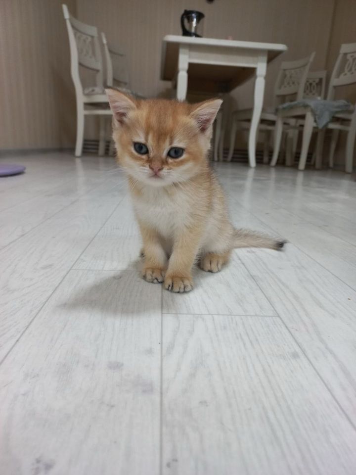 3 000 000 сум