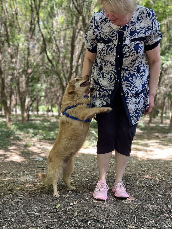 Бесплатно