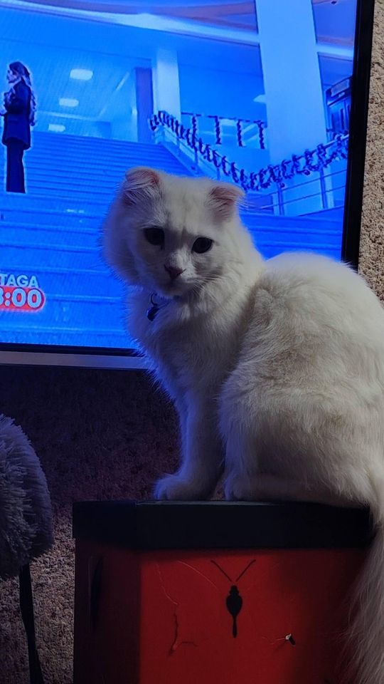 1 200 000 UZS