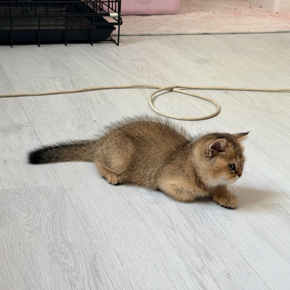 350 USD