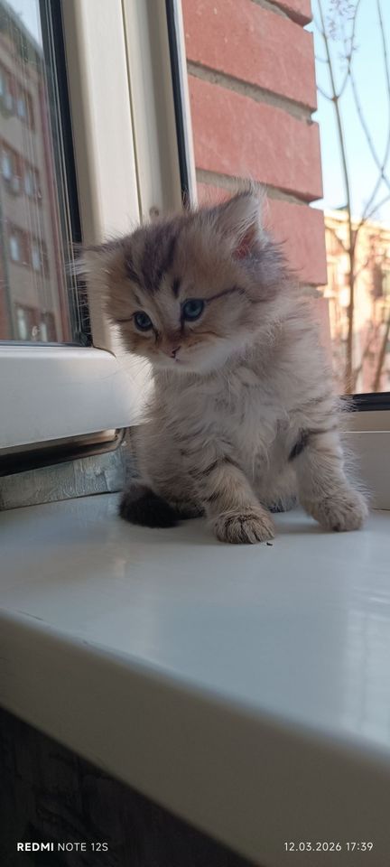 1 000 000 сум