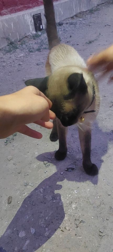 1 100 000 сум