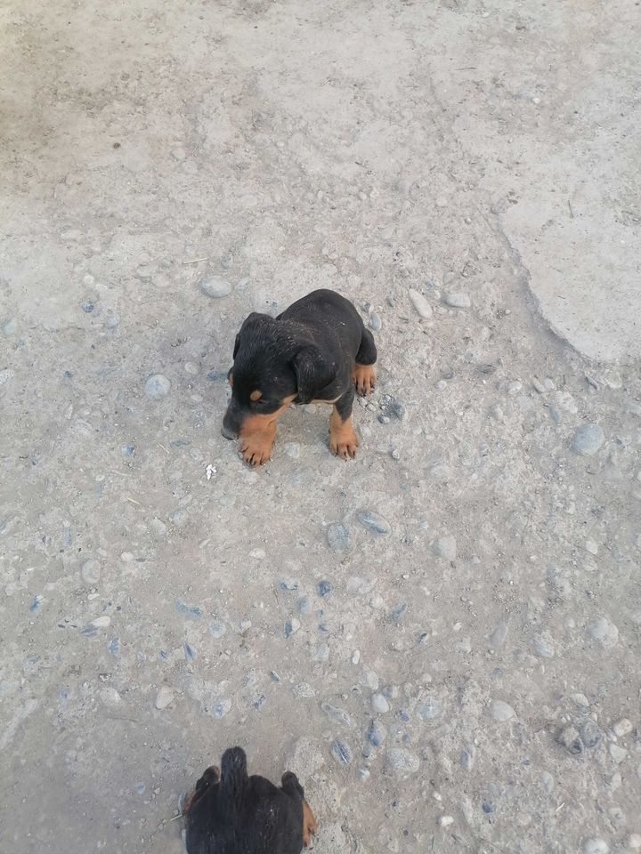 2 500 000 UZS