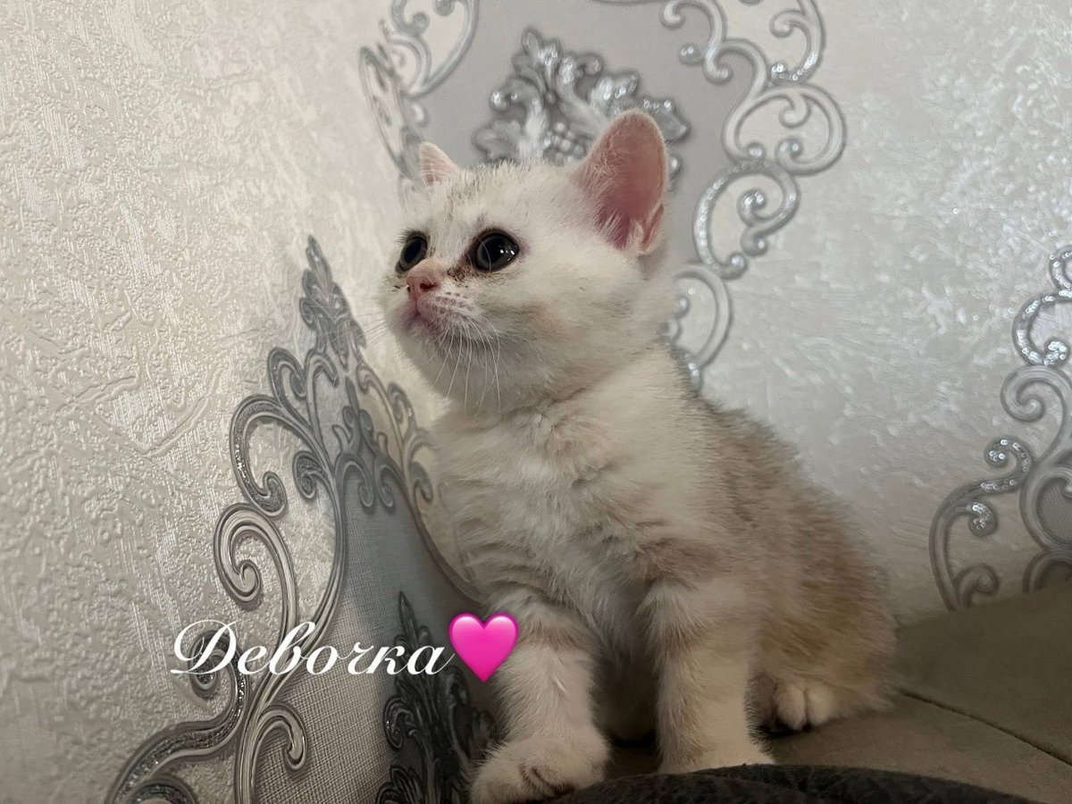 900 000 UZS