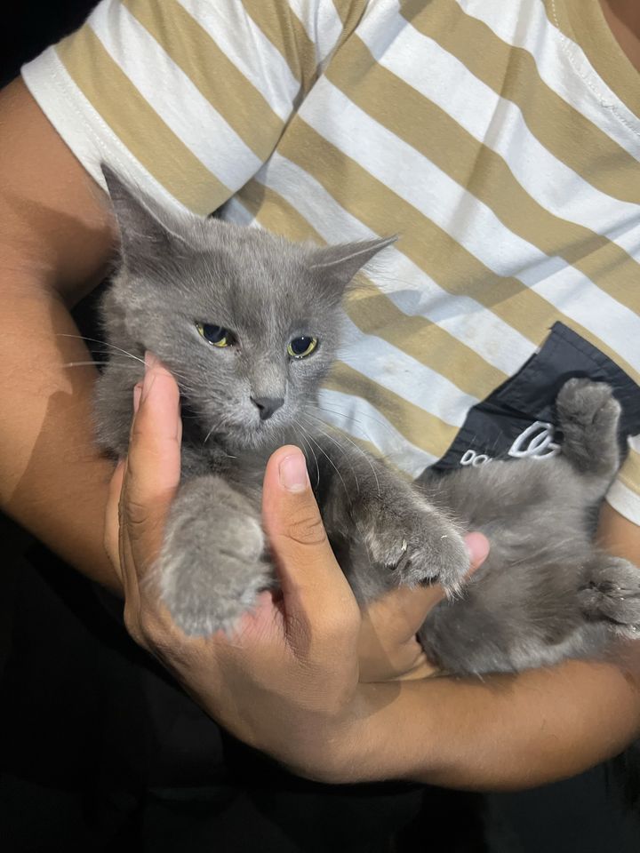 250 000 сум