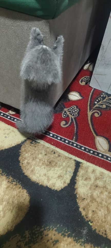1 200 000 сум