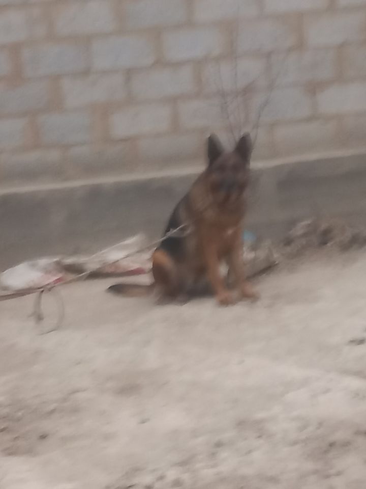 1 000 000 UZS