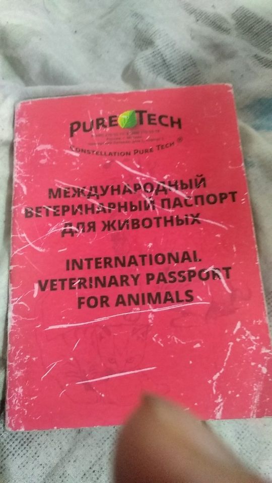 100 USD