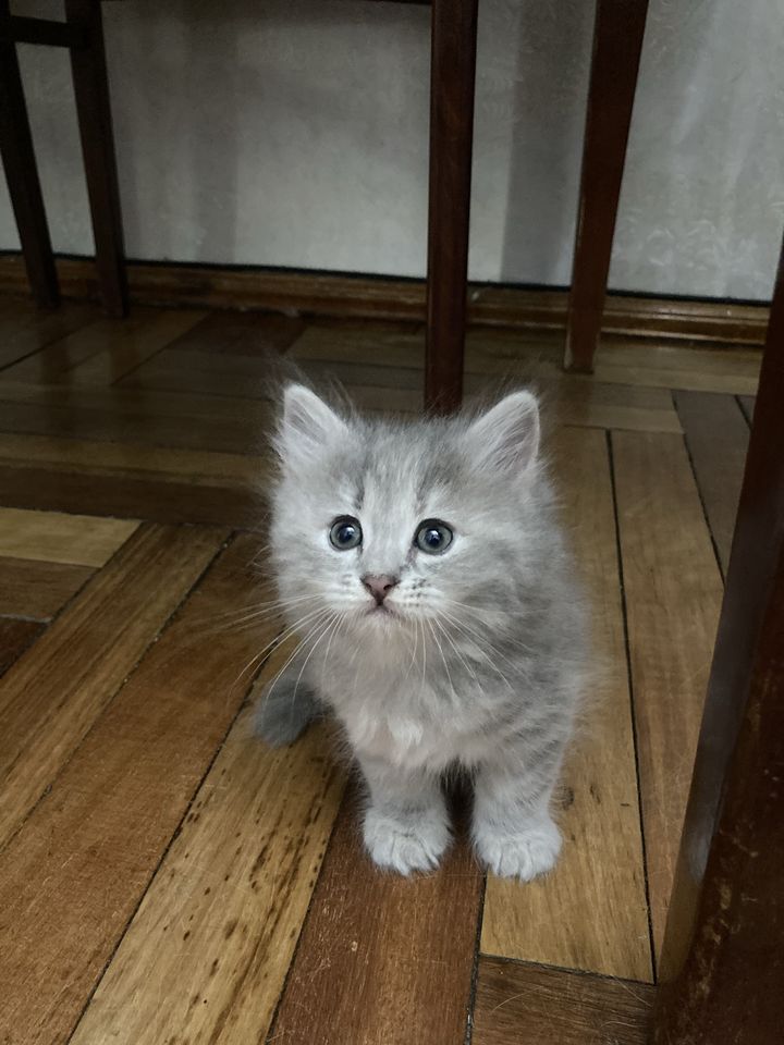 950 000 сум
