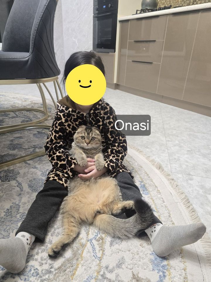 250 USD