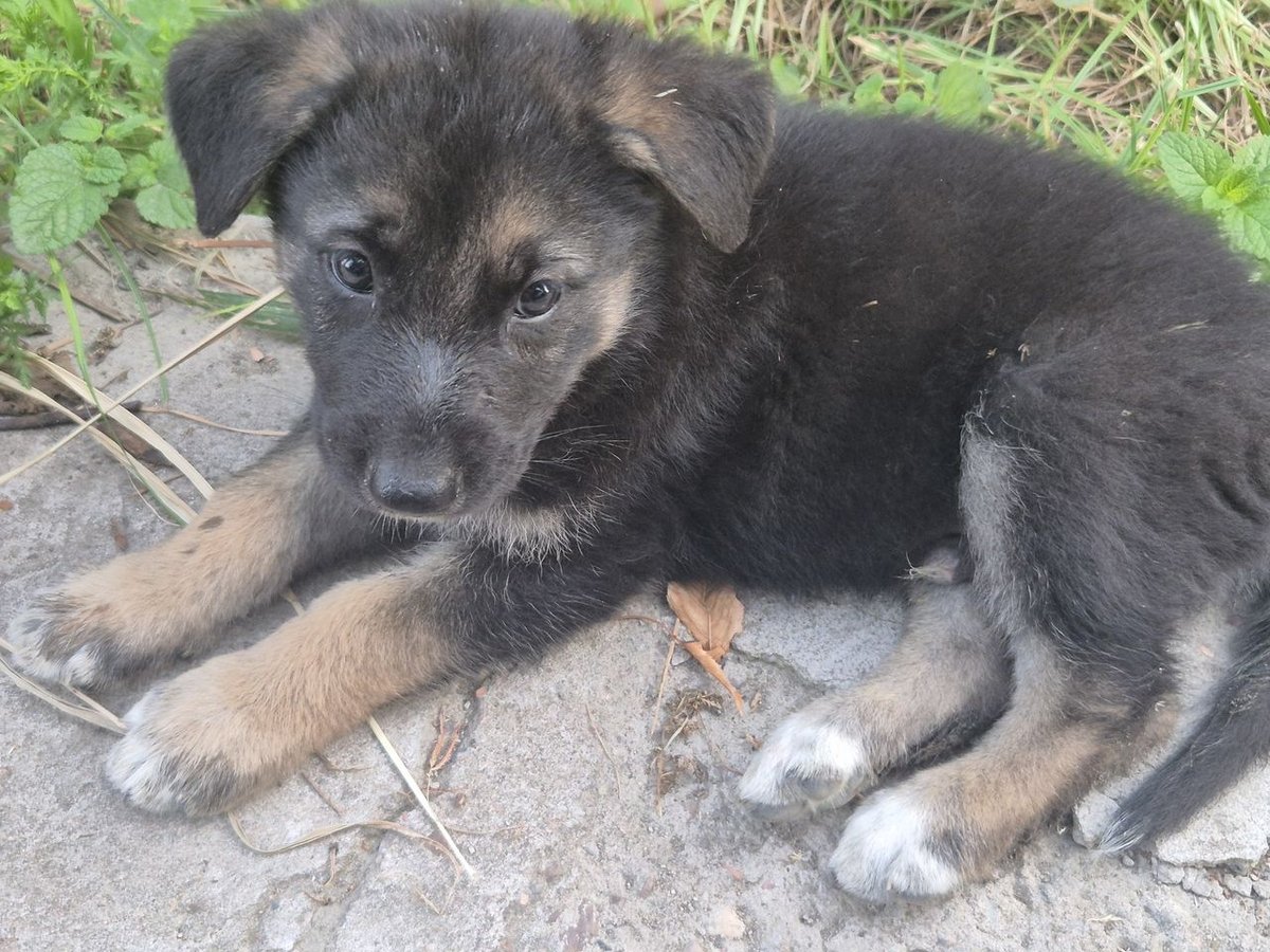 1 500 000 сум