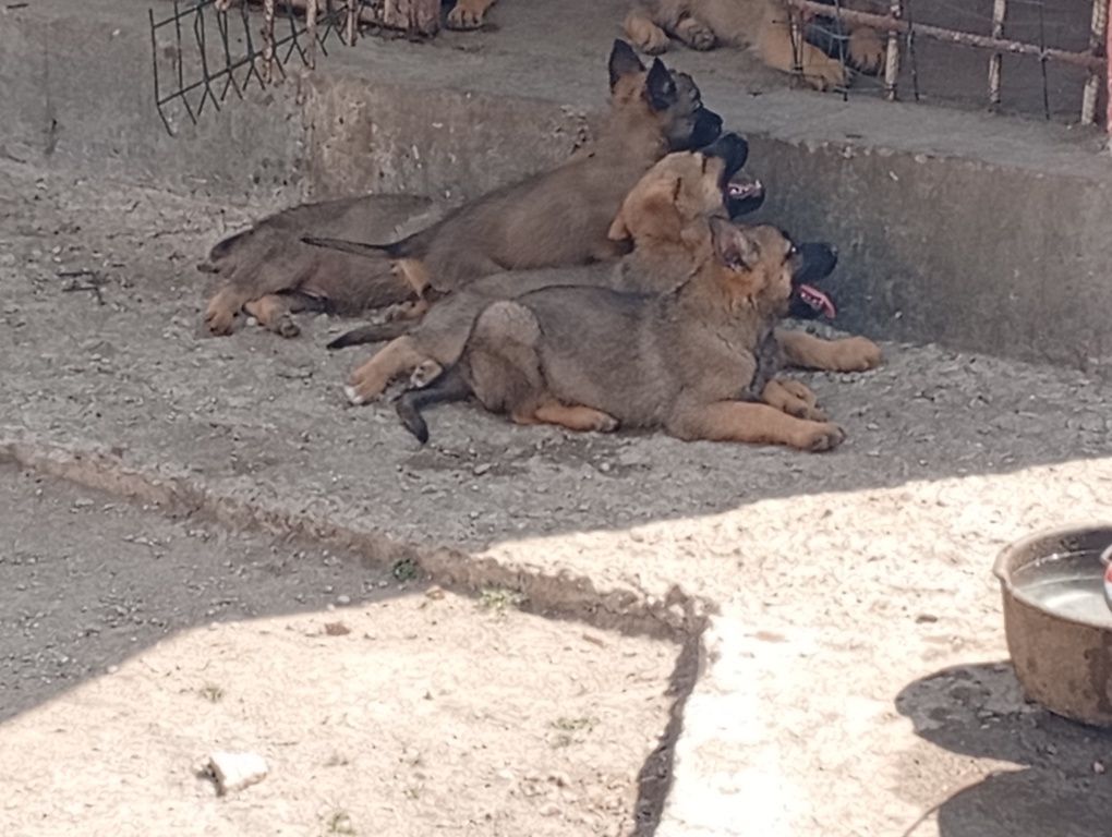 120 USD