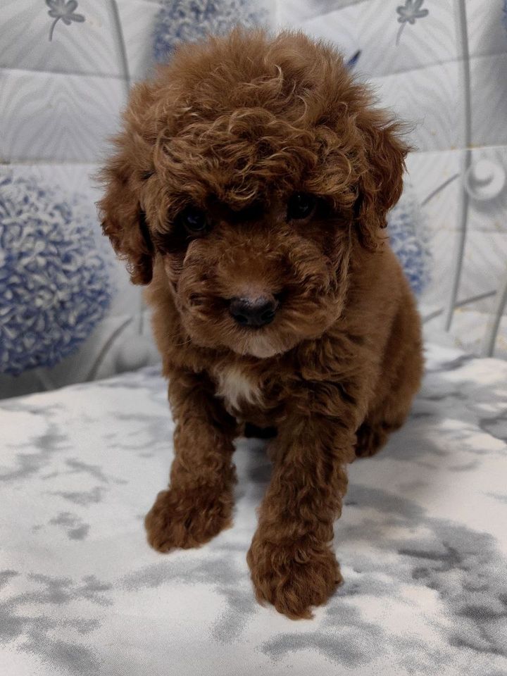 550 USD