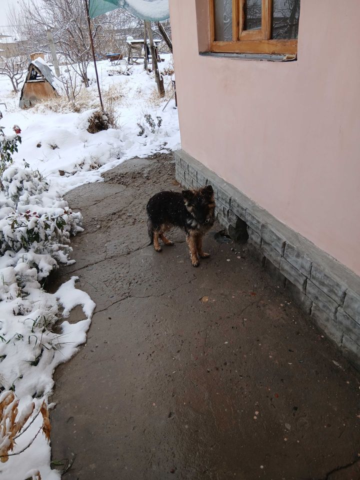 1 000 000 сум
