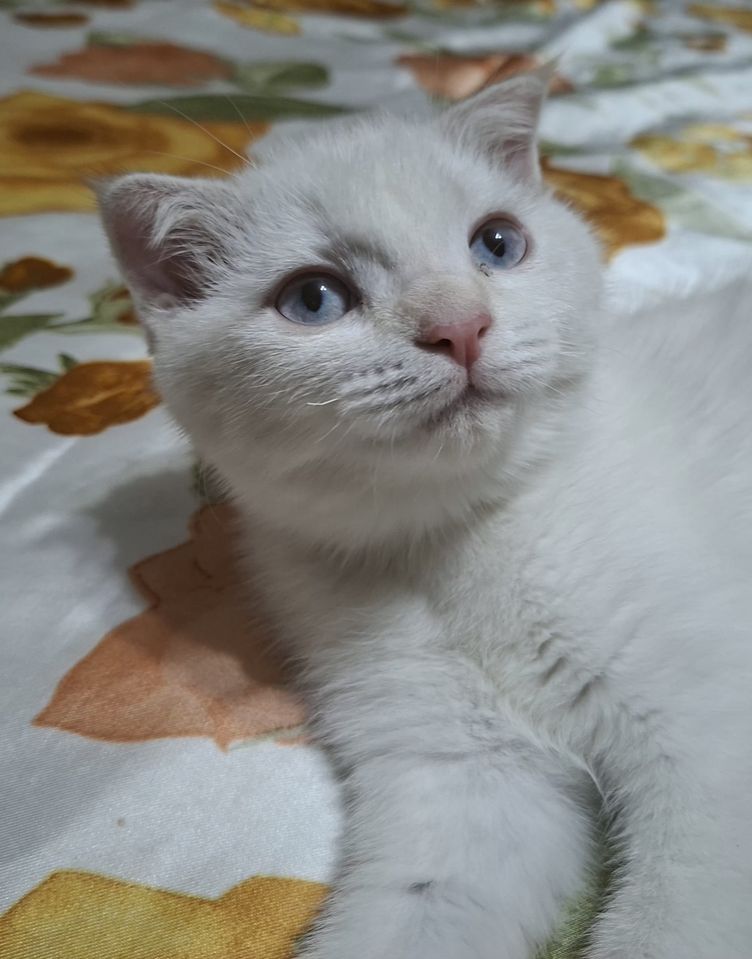 2 000 000 UZS