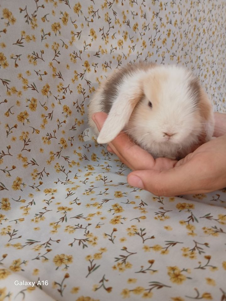 200 000 сум