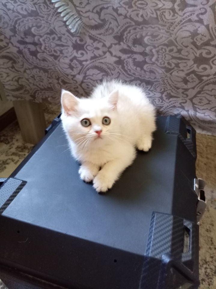 80 USD
