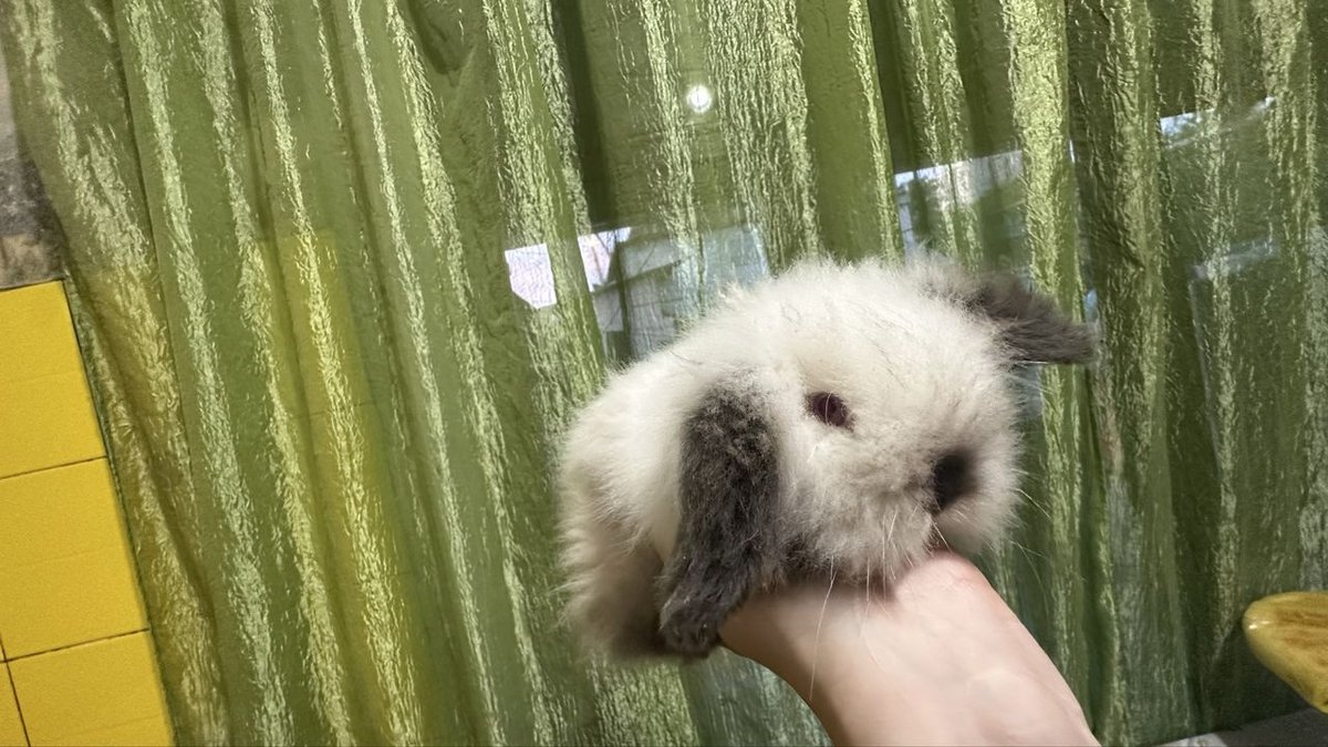 100 000 сум