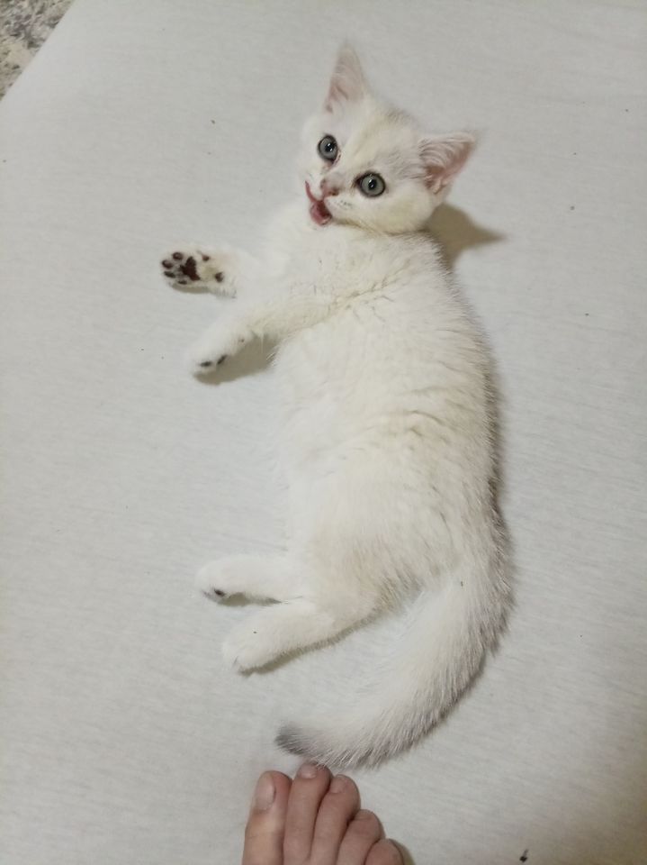 80 USD
