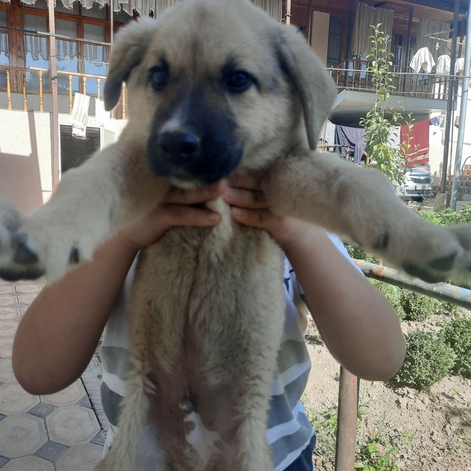 1 000 000 сум
