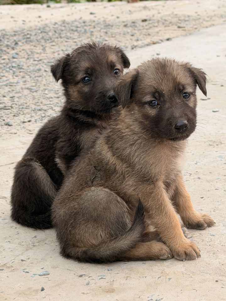 100 000 сум