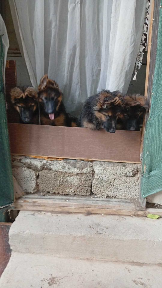 1 500 000 сум