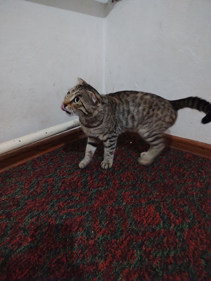 1 000 000 сум